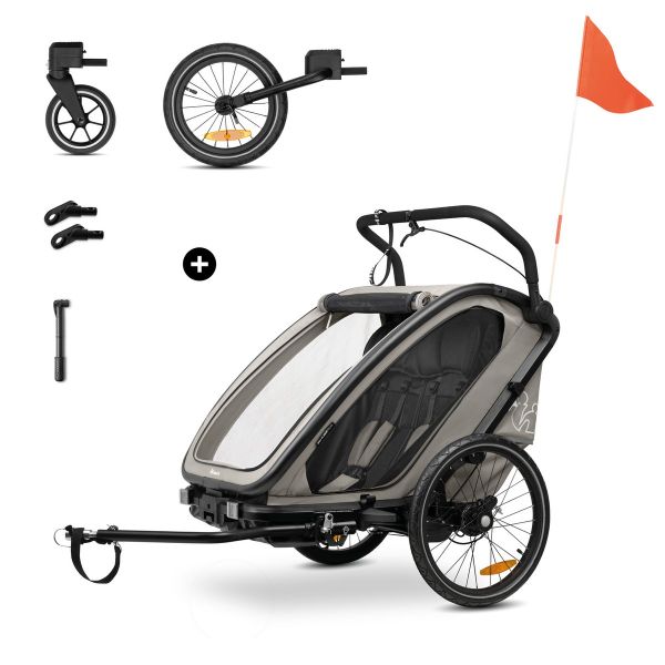 Hauck Fahrradanhnger Buggy Bike N Walk Duo Light Grey | baby-direkt  Online-Shop
